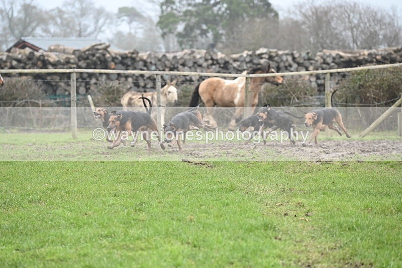 WJ6_5879 - Camera A