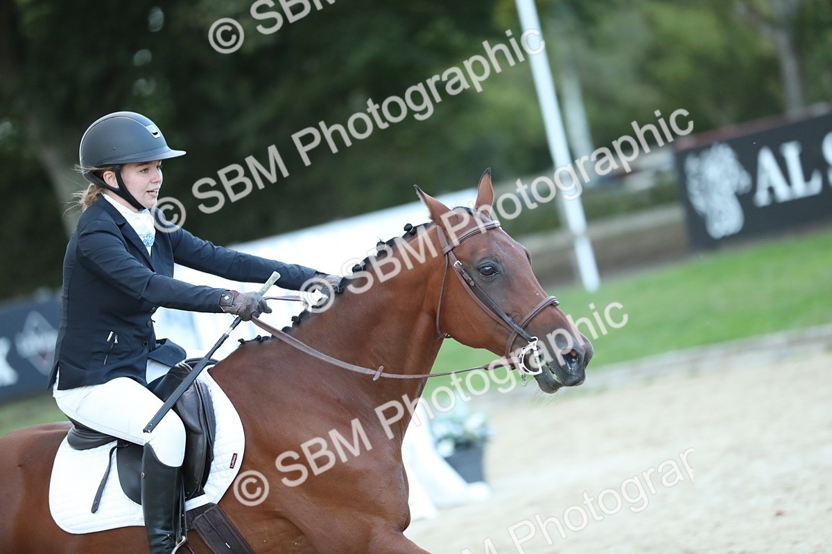 SBM_53723 - Supreme Championship 65cm 70cm