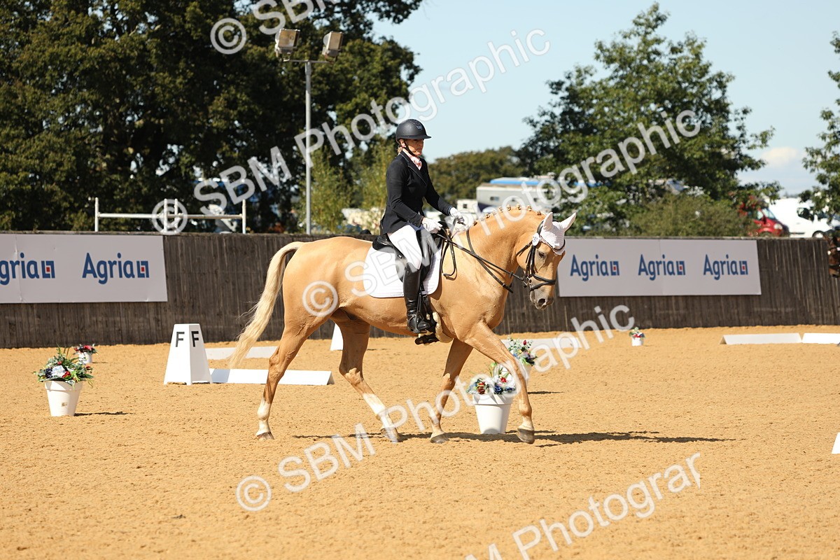 SBM_22325 - D17 - Grand Tour Championship - Novice 27