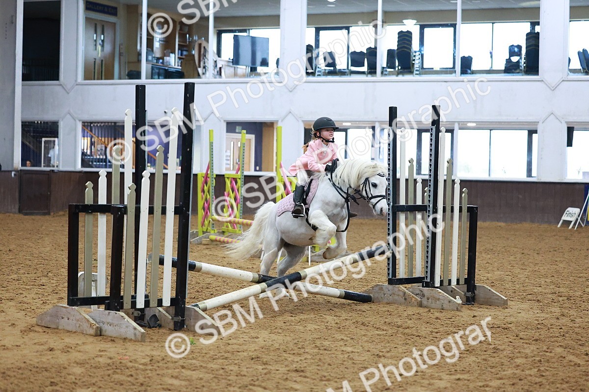 SBM_000276 - Class 19 - 50cm