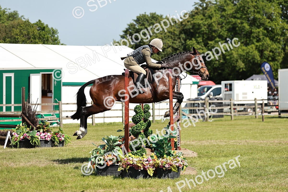 SBM_18357 - Class 112-113 - BSPS LIHS Working Sports Pony