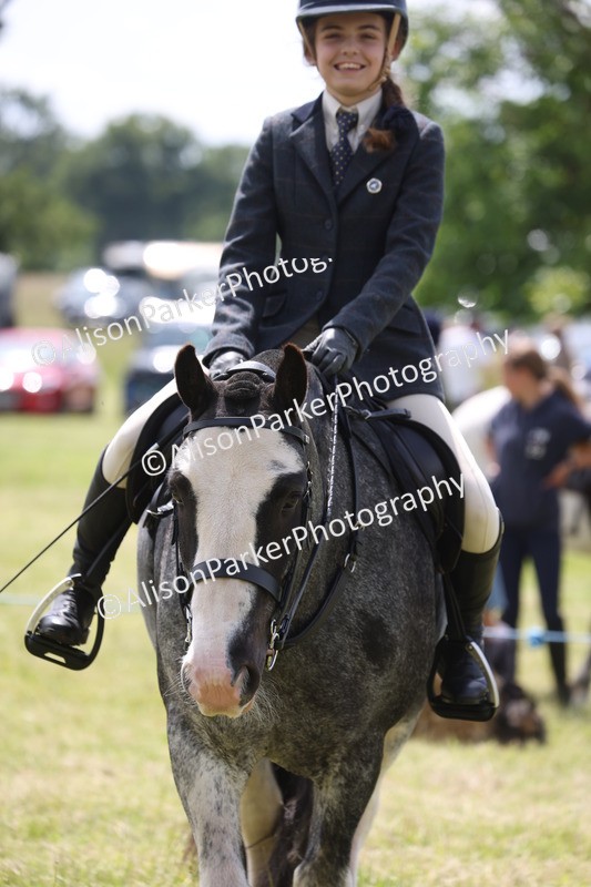 20260614-1956 - Class 21 - Novice Working Hunter Pony
