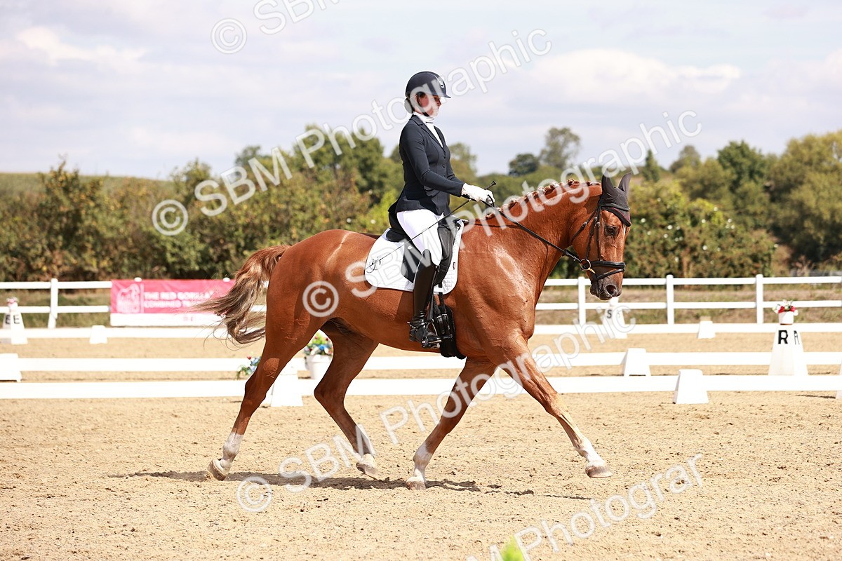 SBM_018467 - Class 17 - Novice 6