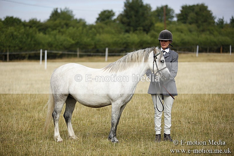 _C7A9230 - BVRC Sow 2018 Ring 2