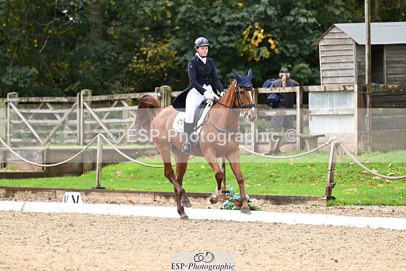 251023A-124310-02308 - B-154-Holly.Law