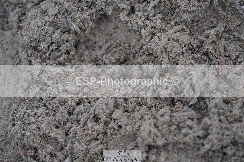 251116-095620-01456 - Cls 18 Clear Round 50cm
