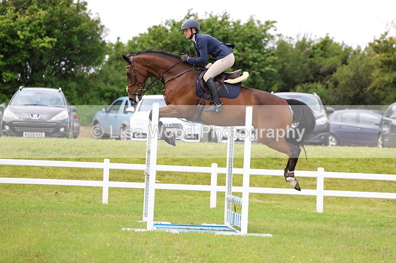 3E7A7139 - Class 12: Senior Foxhunter/1.20 open