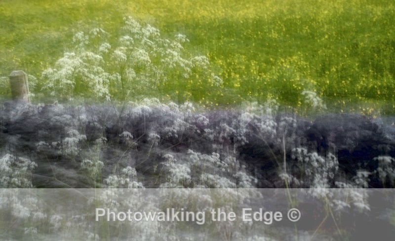  - Abstract - ICM