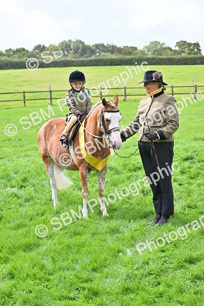 SBM_38355 - S19 - Lead Rein Show & Show Hunter Pony