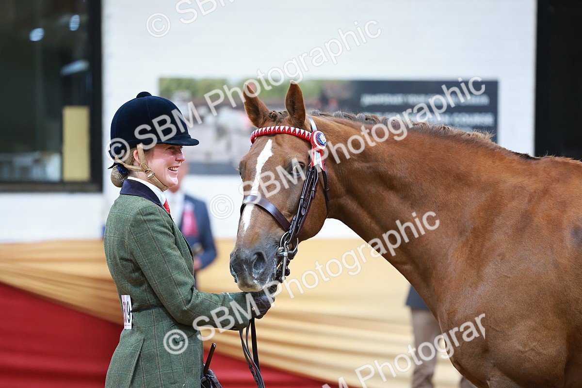 SBM_09811 - Class 102 - HOYS Veteran Qualifier - Ridden Veteran