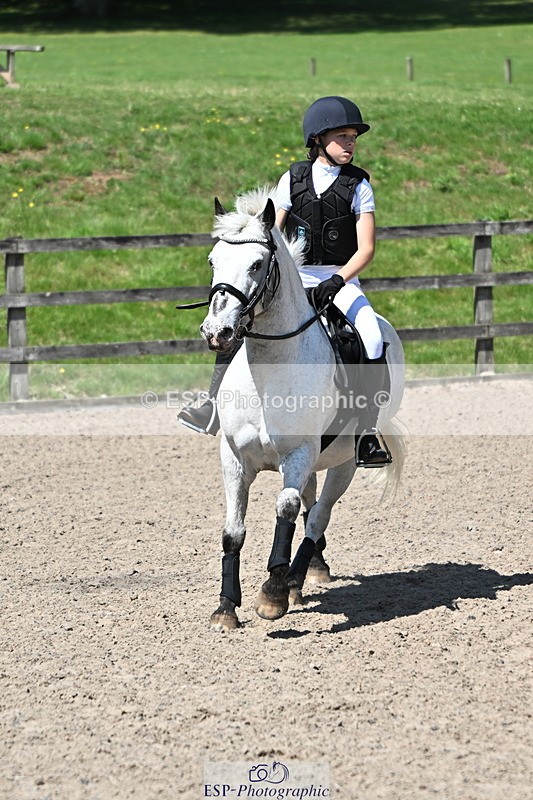 240729B-121717-02627 - Showjumping Competition