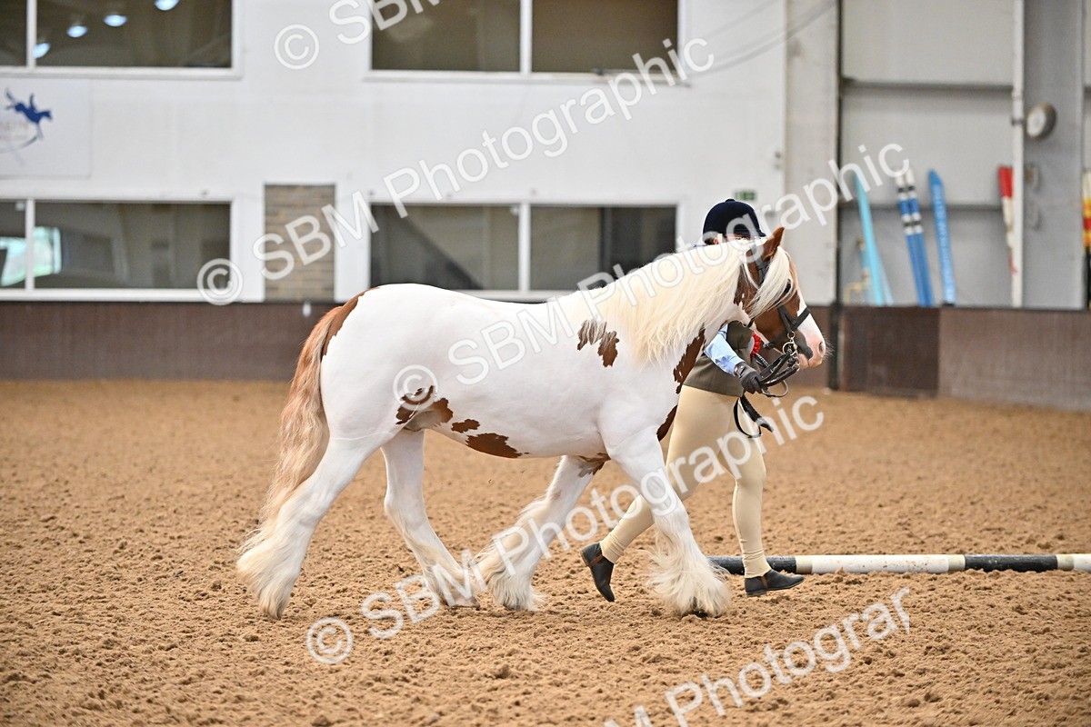 SBM_000299 - Class 10 - In Hand Coloured & Odd Coloured