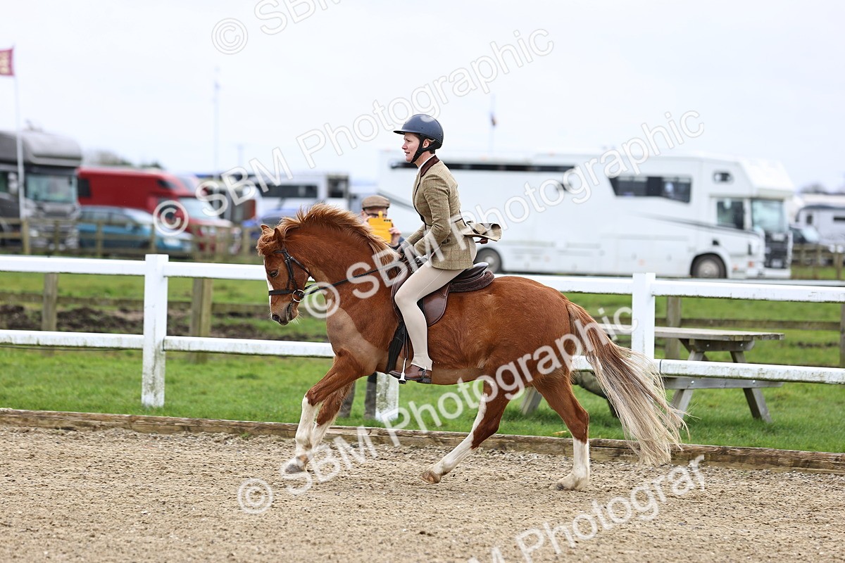 SBM_006817 - Class 29 - 30 - M&M Pure Novice Small-Large Breeds
