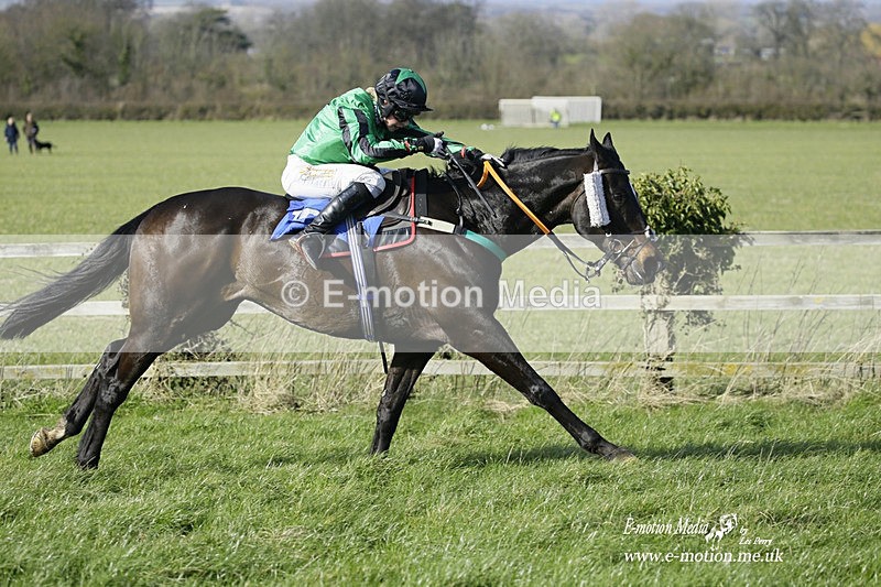 PtP 260222 397 - Kingston Blount Racing Club Point-to-Point 26/02/22