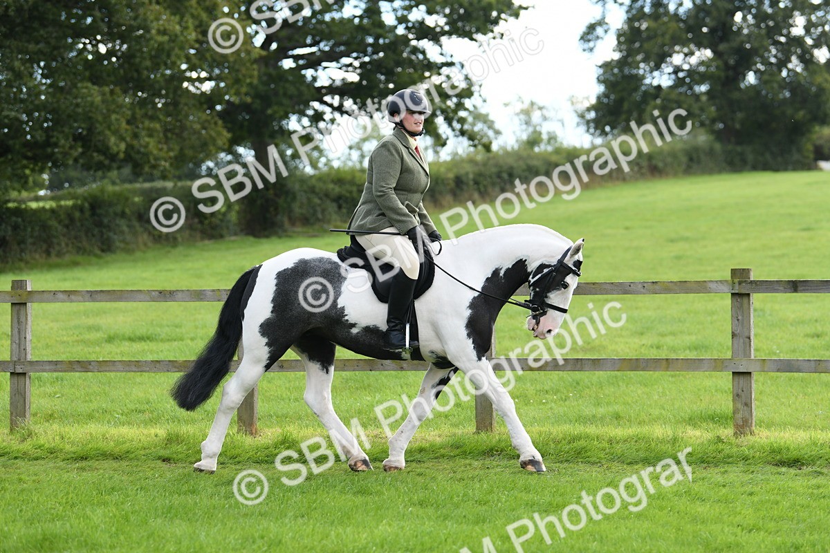 SBM_46747 - S12 - Family Horse & Pony