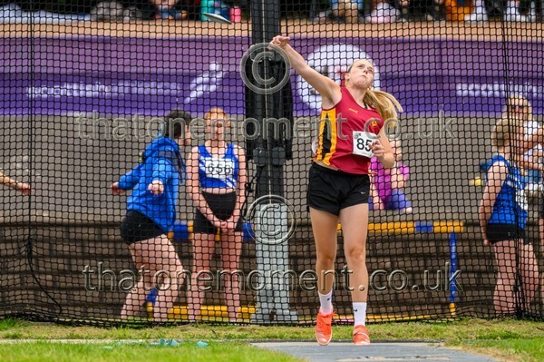 Sen25SUN-927595 - Field Female Set Two