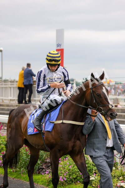 yr24072021r1-43 - Race 1 2.05pm Sky Bet Jump Jockeys Nunthorpe