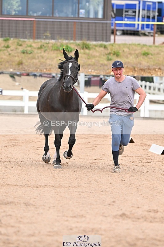 250716-162843-02638 - Trot Up 3.30 to 4.30