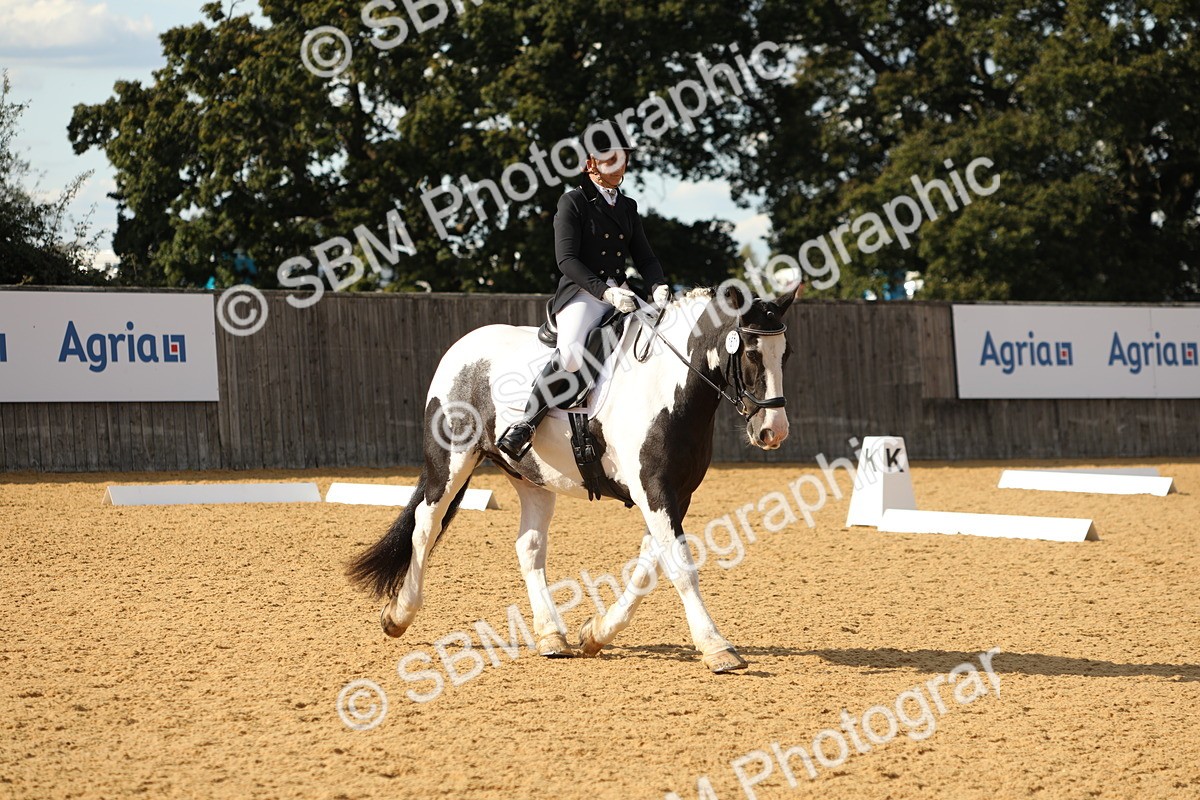 SBM_26682 - D17 - Grand Tour Championship - Novice 27