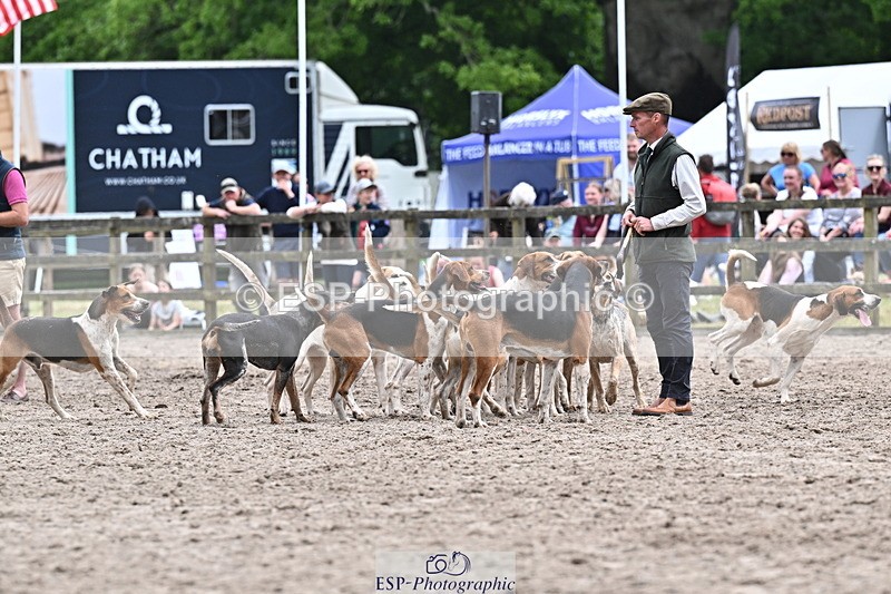 250524A-152342-12726 - East Devon Hounds