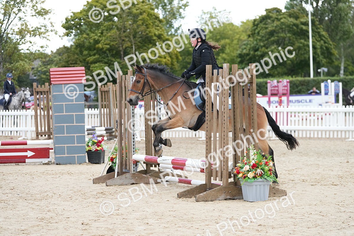 SBM_20679 - J49 - Open 50cm