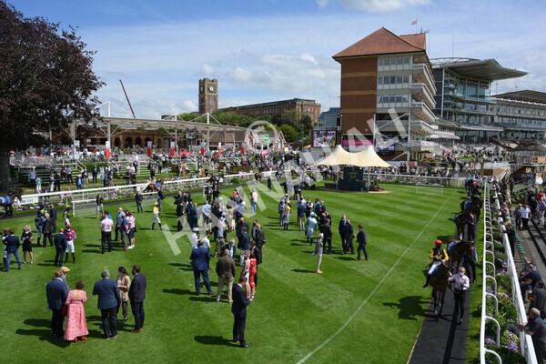 yr11062021r3-1 - Race 3 2.55pm SKF Rous Selling Stakes