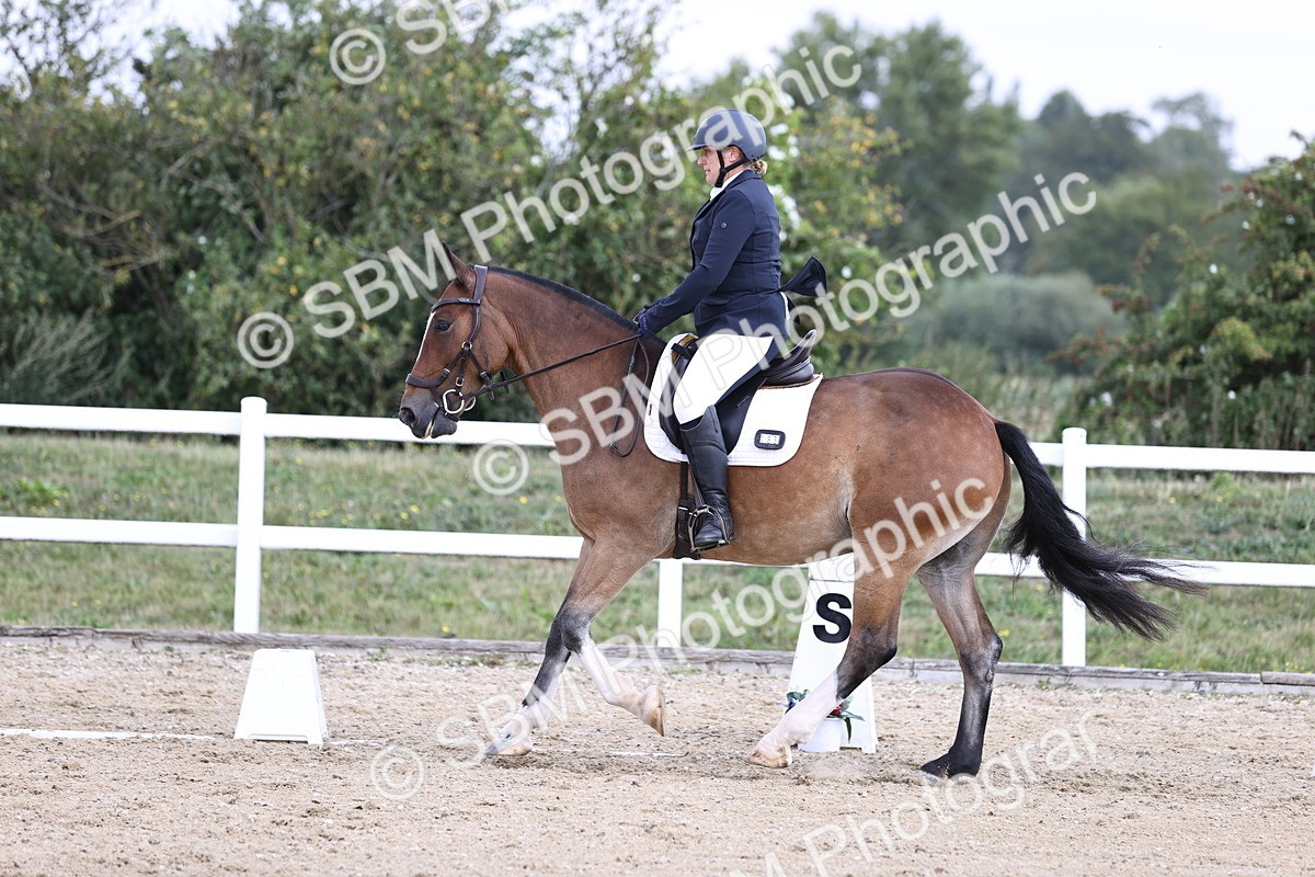 SBM_016228 - Class 14 - Novice 23 - 10.29-11.32