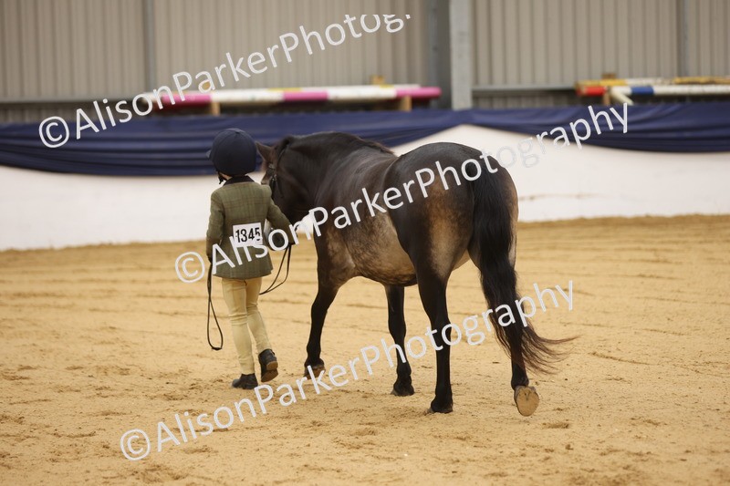 20260913-0116 - Class 121 - Young Handler 5-16