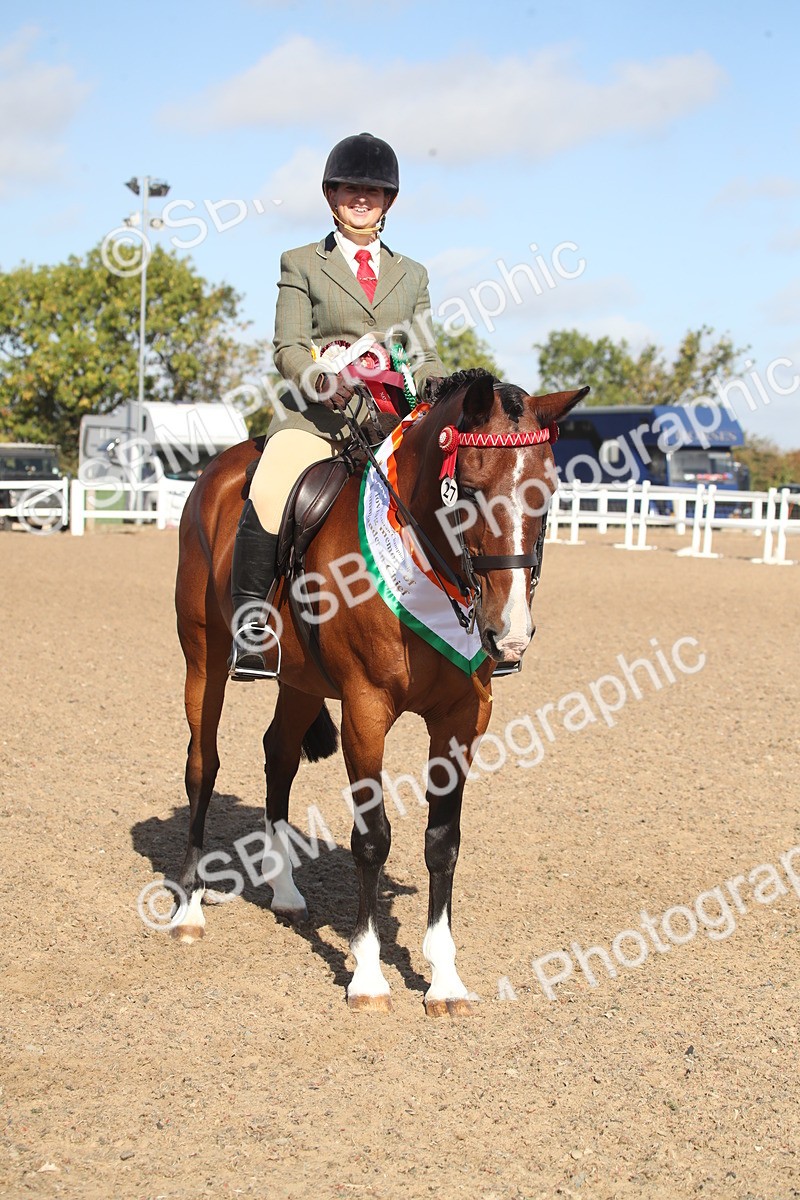 SBM_22731 - Class 601 - 2026 - Area - Ridden Diamond