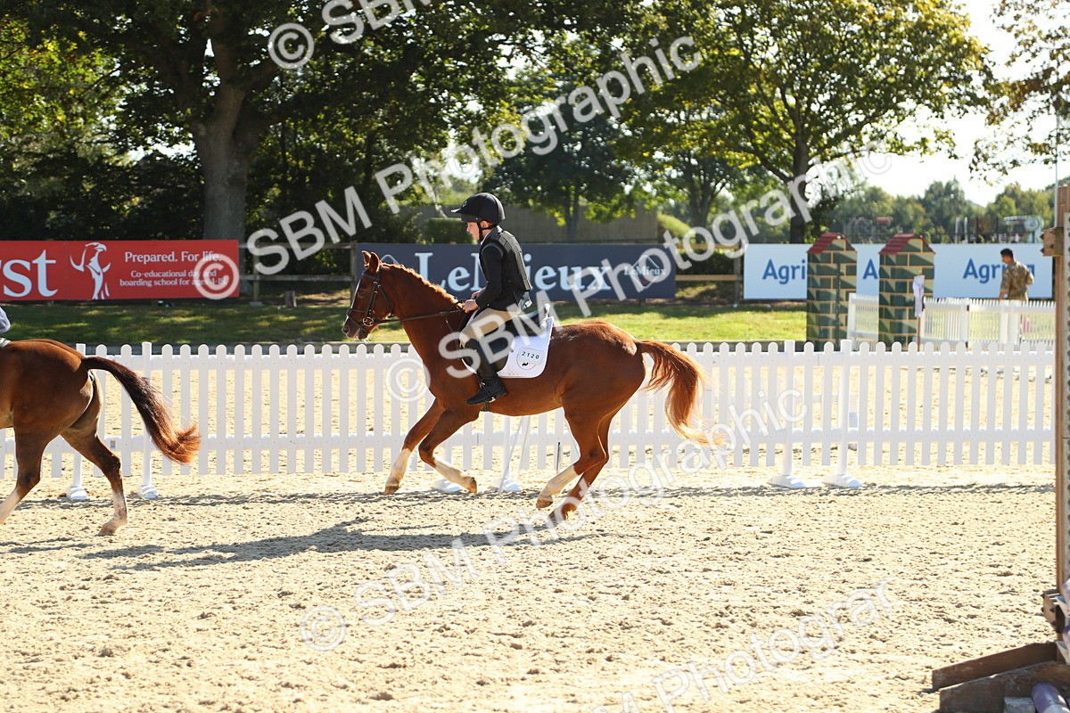 SBM_36077 - J5 - Junior Pony 50cm Championship