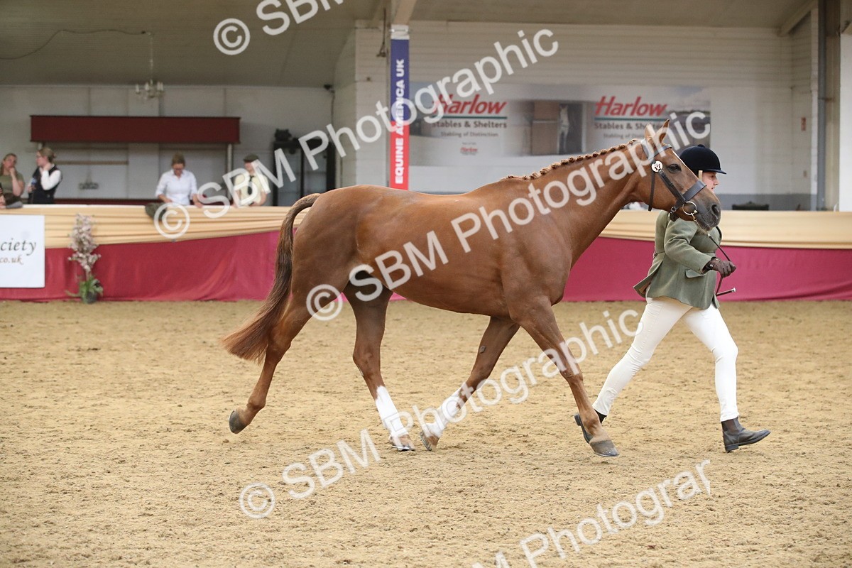 SBM_05711 - Class 9R - Regional IH Pre-Vet