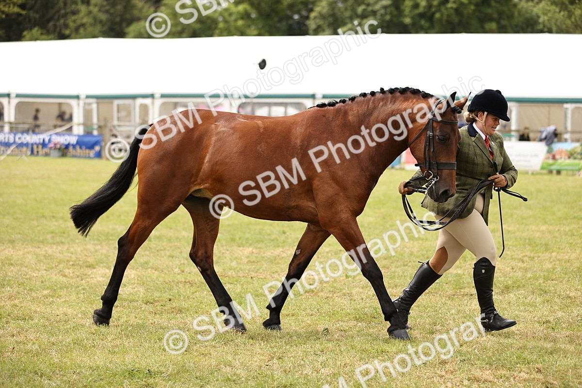 SBM_14622 - Class 88-89 - LIHS BSHA Rising Star of Ridden Hunter Type