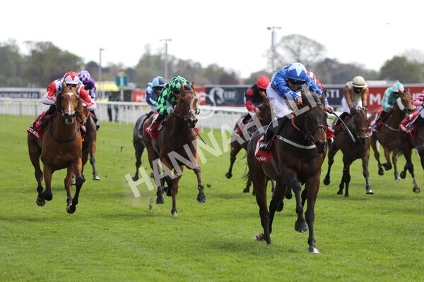  - Race 3 2.40pm The Matchbook Betting Podcast Hambleton Stakes