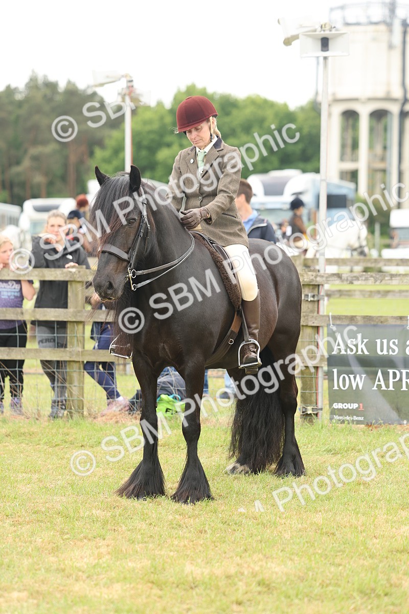 SBM_09002 - Class 78-80 - Ridden M&M Non Welsh Ponies