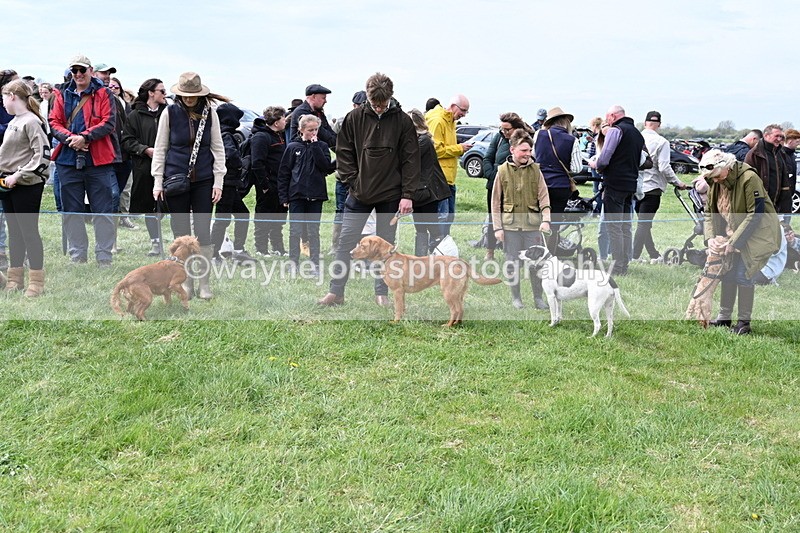 WJ6_8210 - Class 4 Prettiest Bitch