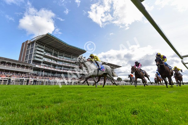 230824-Race 1-Shadow Dance-4179 - Race 1 1.50pm Sky Bet Handicap