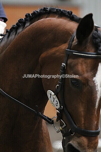 SIAL4760 - CAbin Dressage 5th july 2025
