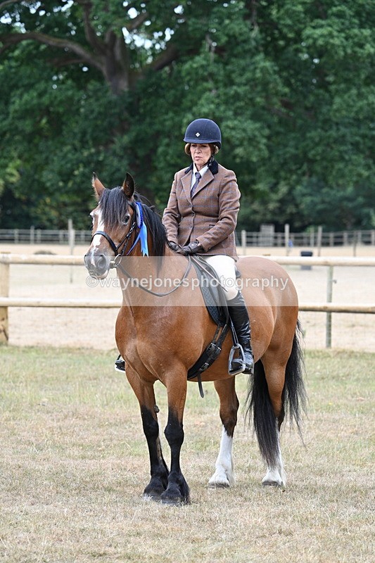 WJ7_0713 - Class 6 Ridden Mountain and Moorland