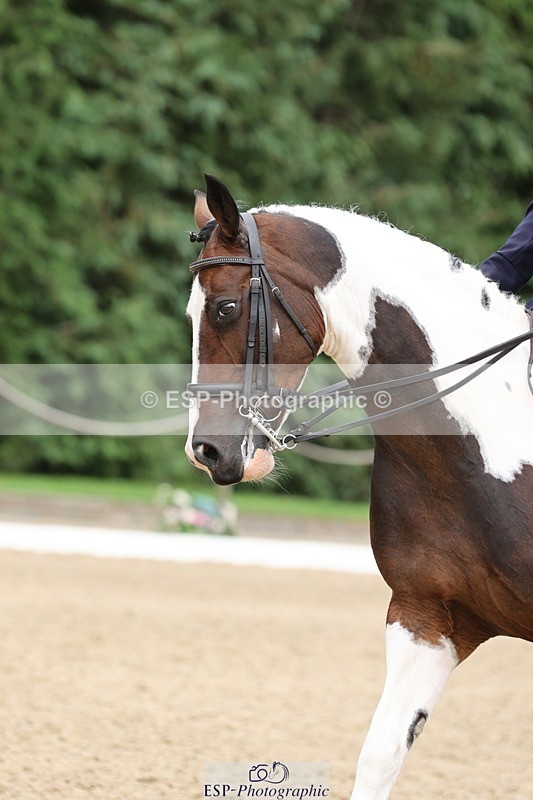 240810-161137-04163 - 155-Debbie.Squires-Mystic.Spirit