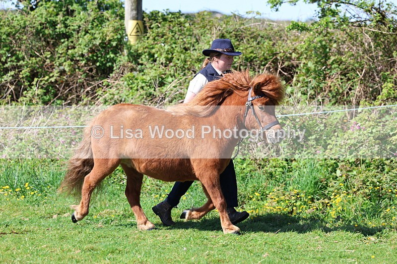 3E7A9345 - Class 16: Best Grass Kept