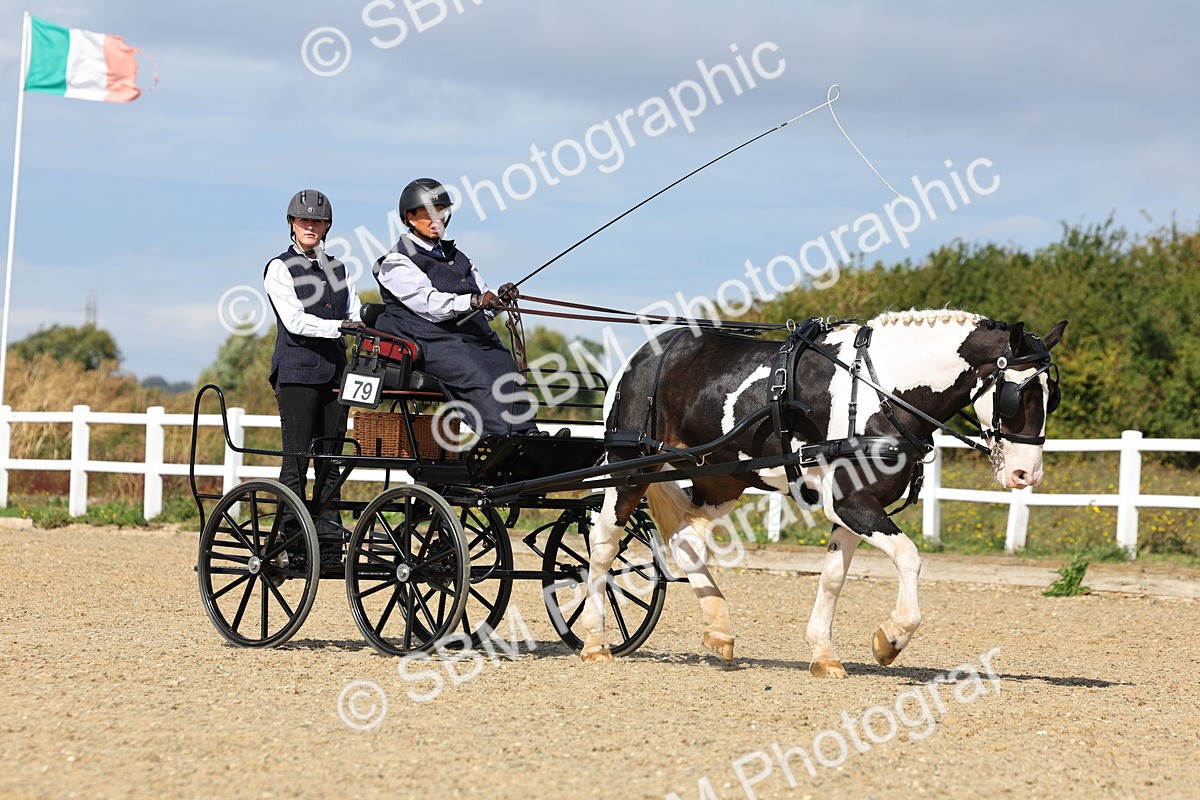 SBM_000886 - Class 8 - Novice Horse or Pony to any vehicle