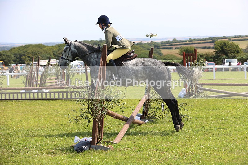 JPP_2461 - Class 21: Working Hunter 60cm