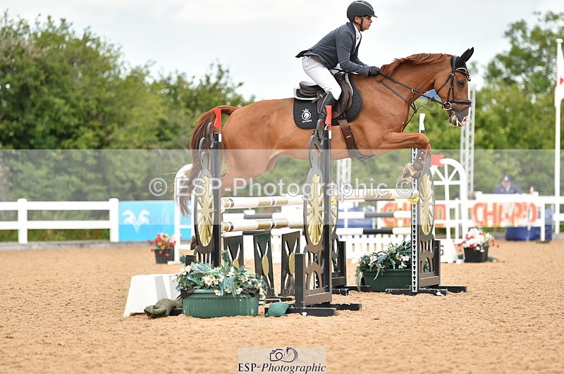 230720A-121354-02490 - Cls 13, 1 Star Bronze 1.10m