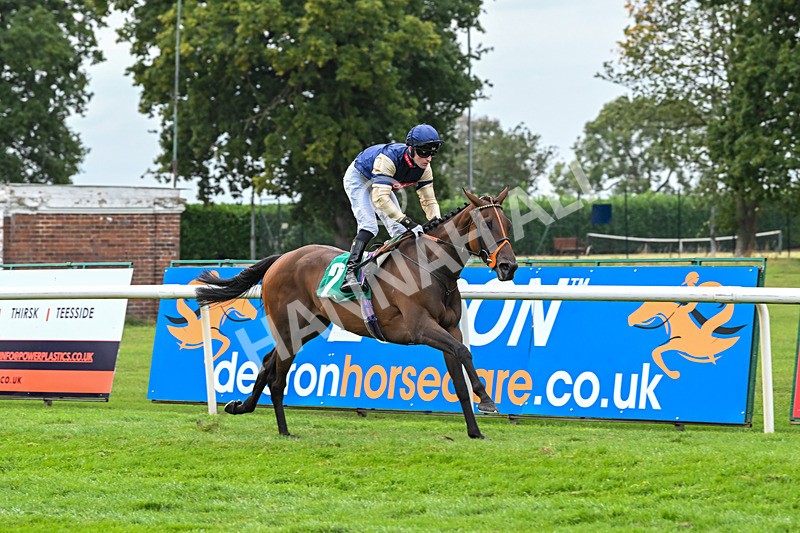 060925-Race 6-Bosphorus Rose-6023 - Race 6