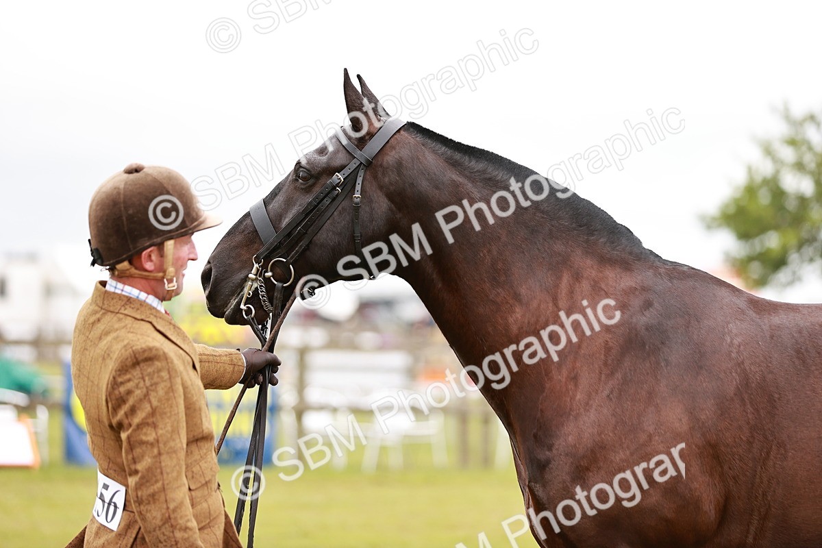 SBM_13040 - Class 85-87 - RIHS Cobs