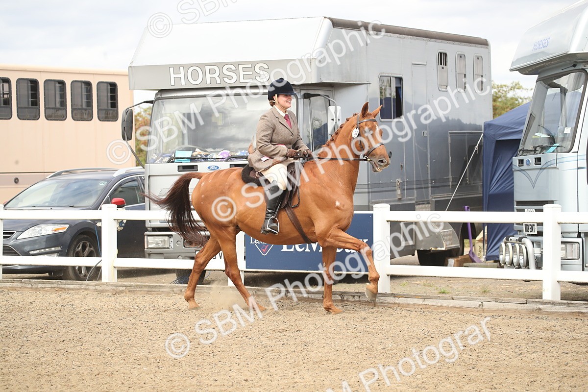 SBM_16588 - Class 506b - Working Veteran - 50cm (20+)