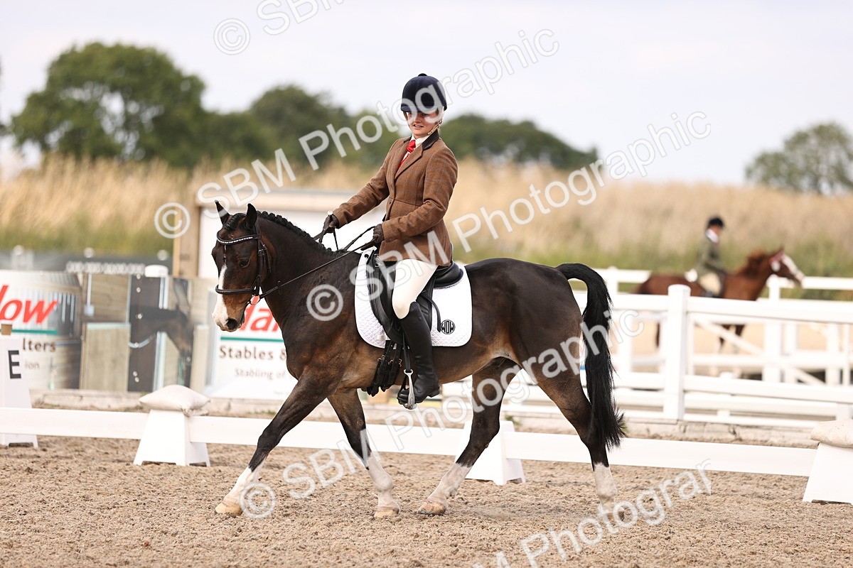 SBM_06051 - Class 37 Novice 5