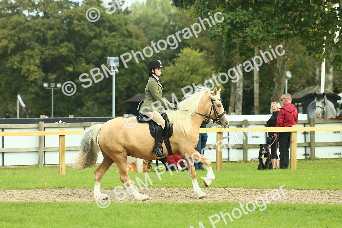 SBM_62667 - S63 - Other Coloured Horse Ridden