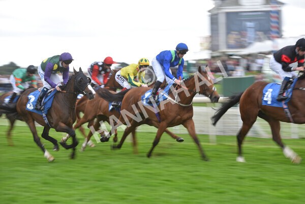 yr24092021r6-12 - Race 6 4.25pm William Hill Pick Your Places Stakes