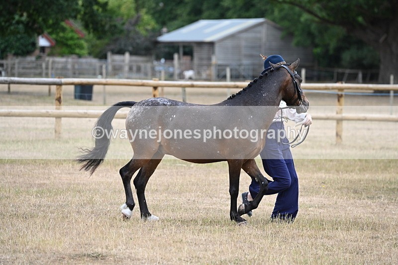 WJ6_8551 - Class 10 Coloured in Hand